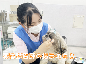 モデル犬の健康を守ります！